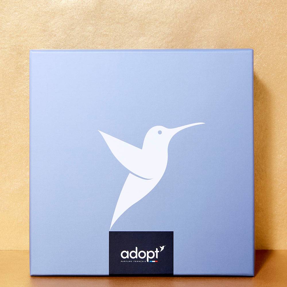 Boîte cadeau - Grande taille bleu