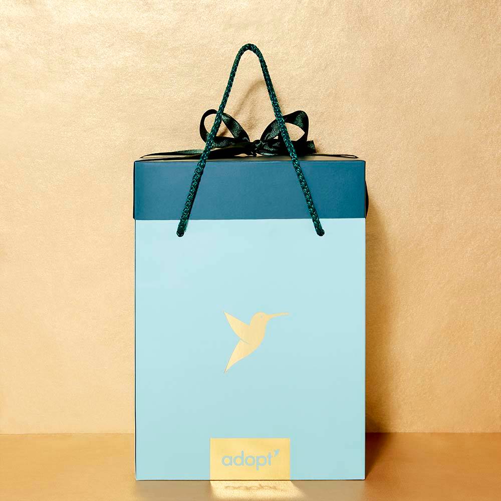 Boîte cadeau - Moyenne taille verte