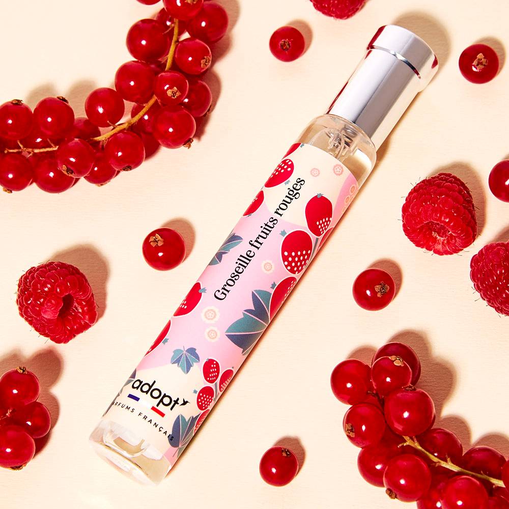 Groseille fruits rouges