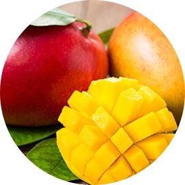 Mangue