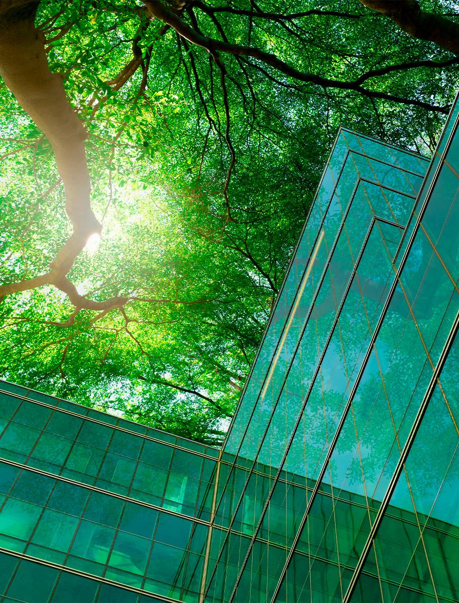 Construire une chaine de valeur durable