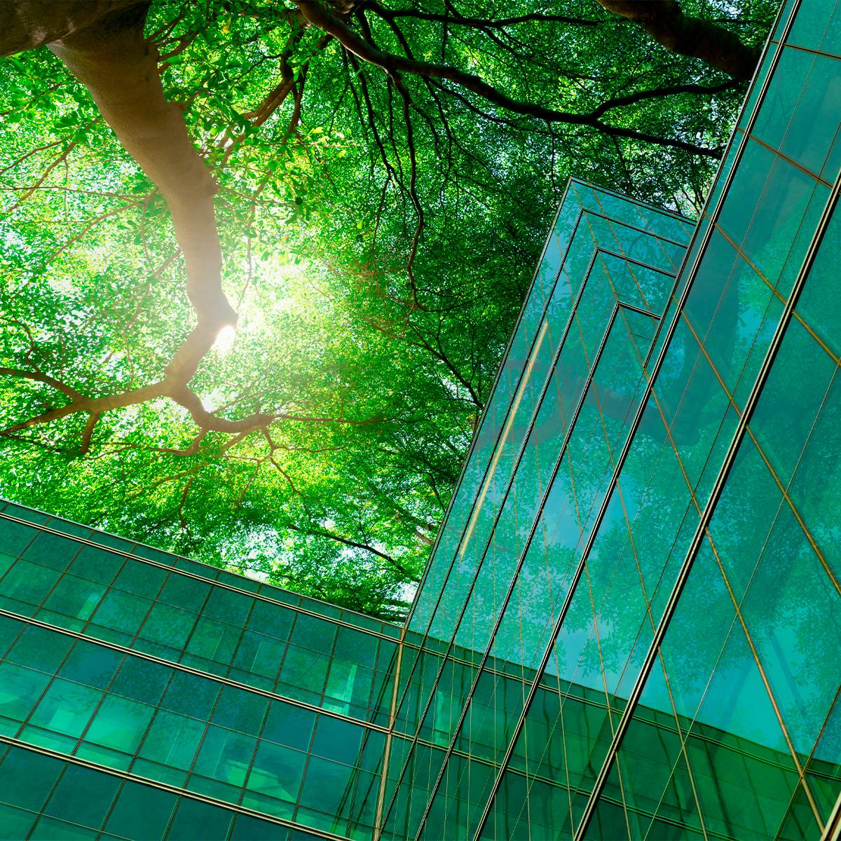 Building a sustainable value chain 