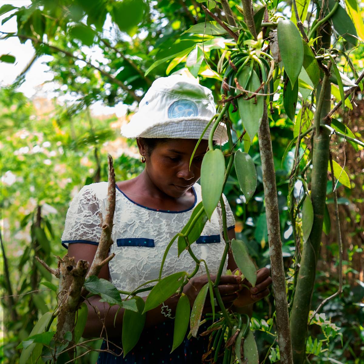 Protecting biodiversity